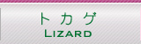 WING-21のトカゲ