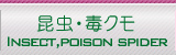 WING-21の昆虫・毒グモ
