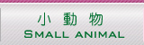 WING-21の小動物