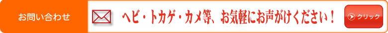 メールでお問い合わせ