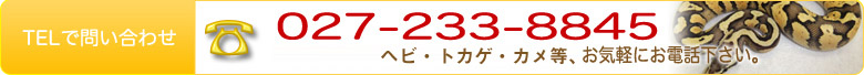 TEL・FAX 027-233-8845